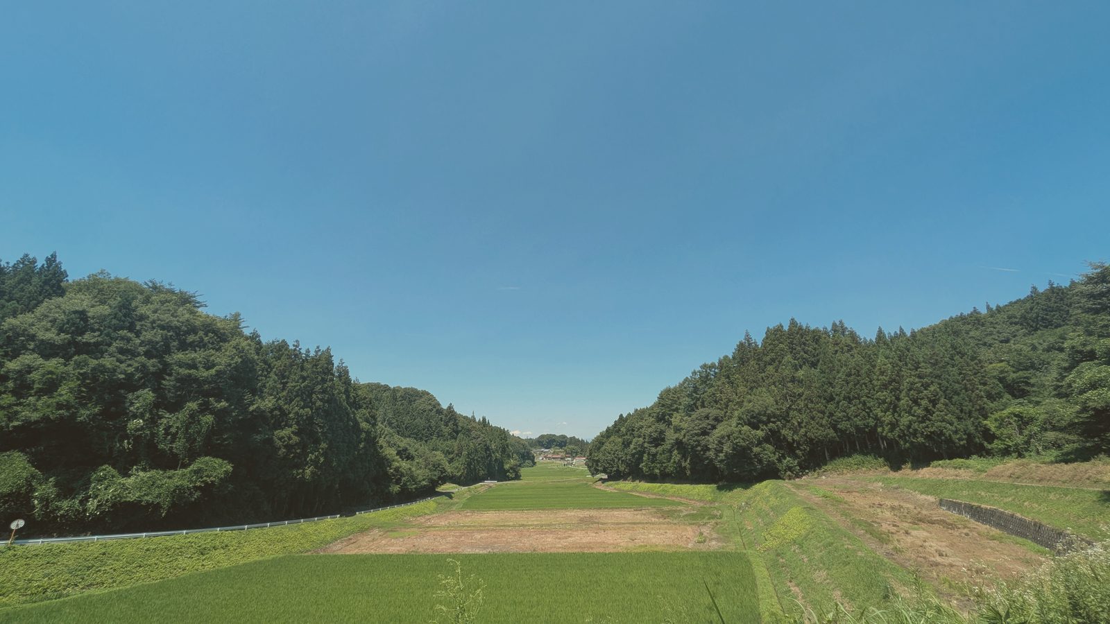 山あいに広がる田園
